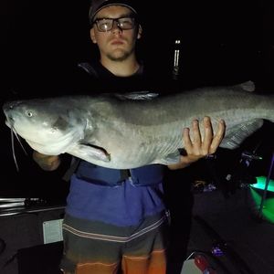 Meet your Posher, Cory